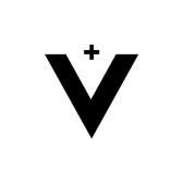 VAION Logo